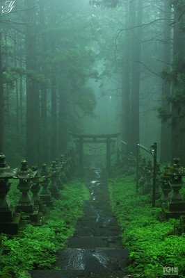 梦里听雨
