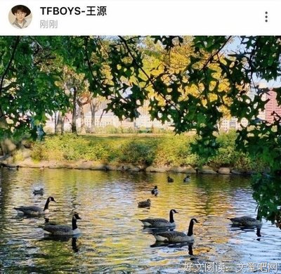 记得回家的小蝴蝶