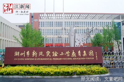 两棵银杏树