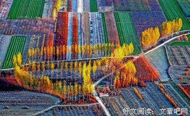 晚秋
