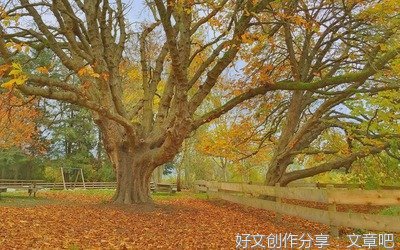 残秋
