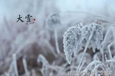 今日大雪