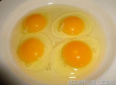 被遗忘的鸡蛋