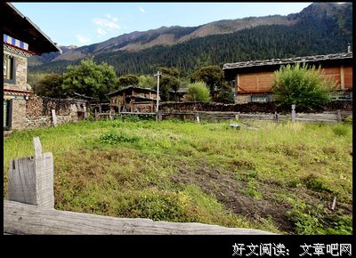 心系净土
