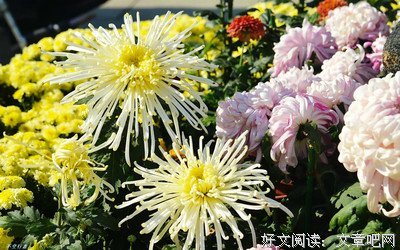 彻见宇宙 人生真相