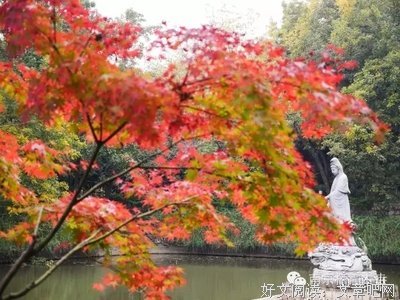 正知正见的重要性