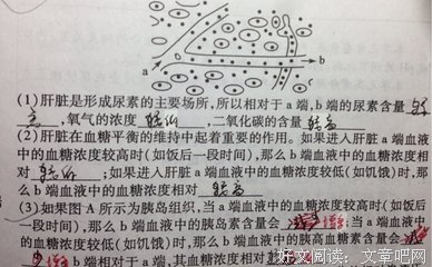 空,不是没有