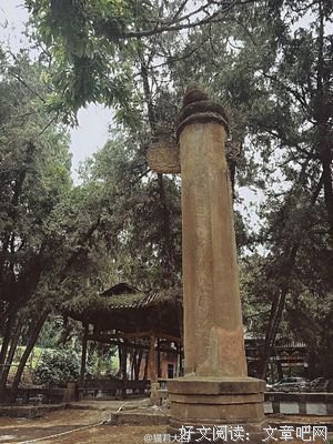 离贪去执的白骨观