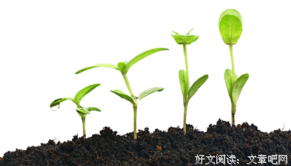 富翁悭贪 投胎为猪