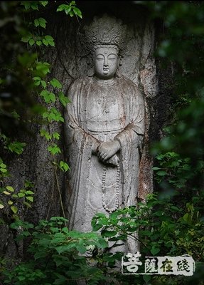 书中佛像 飘出治病