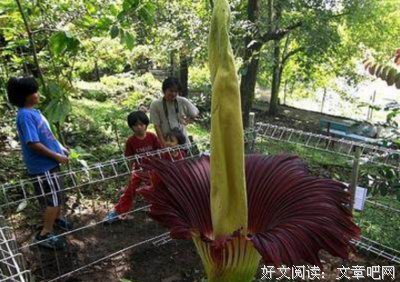 还有真实存在的东西吗？