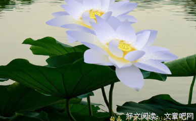 穷尽真理明心见性之妙法