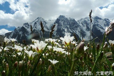 王建居士亲历地狱记