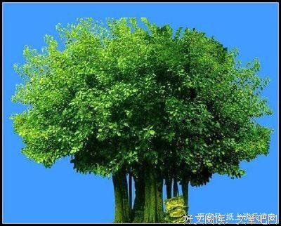 明心见性不等于成佛