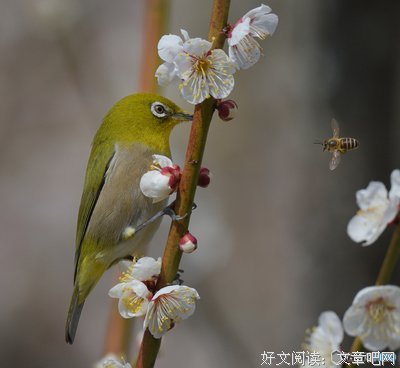 诸行无常