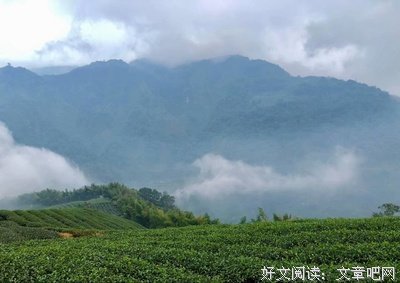 业力与因果