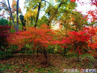 佛号好比银行卡，念佛才能提现