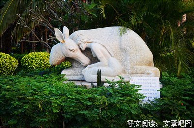 念兹在兹 光光相摄