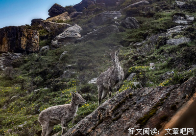 禅师轮回的例子说明什么？