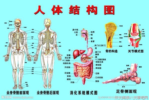 身体和灵魂都不是我，只有佛性才是真我
