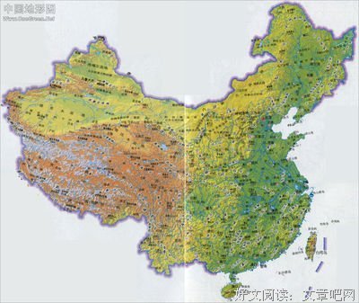 认清妻子和裱子的本质区别！