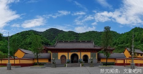 浅谈五根五力