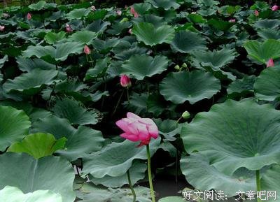 一迷为心灵，决定惑为色身之内