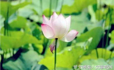 念佛就是明心见性
