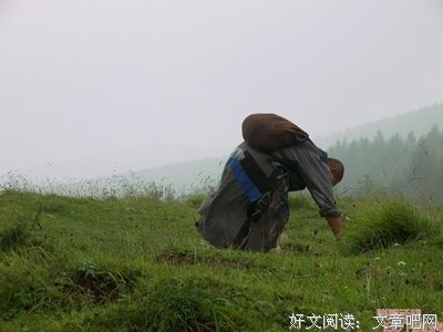 一生苦行超十劫