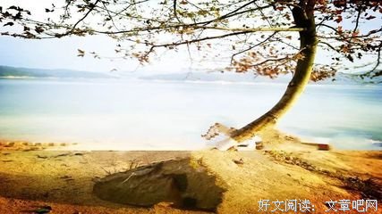 何谓无生法忍