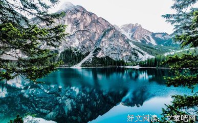 真心和妄心