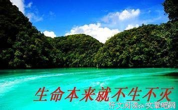一真法界，悉皆具足