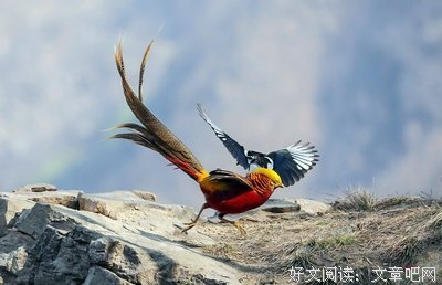 不以凡夫是非论是非