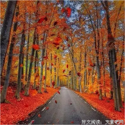 提起正念，妄念即空