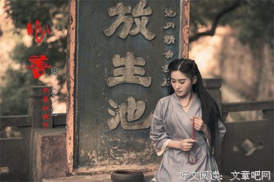 冤冤相报何时了，劫劫相缠岂偶然