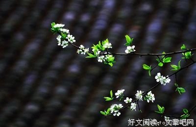 圆泽禅师转世的警示