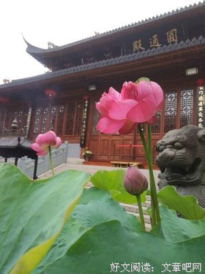 持名念佛法门是最高妙的法门