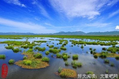 净土在妙明真心内，却在凡夫八识妄心外