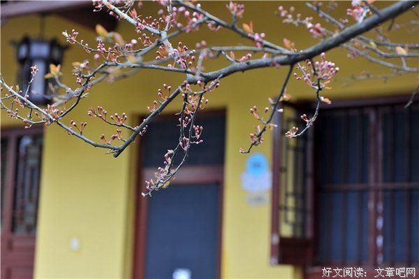 佛号即法身，念佛必成佛