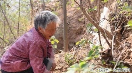 丧子未必是坏事