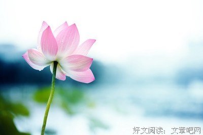 虔诚念大悲咒,数次躲过枪击暗杀