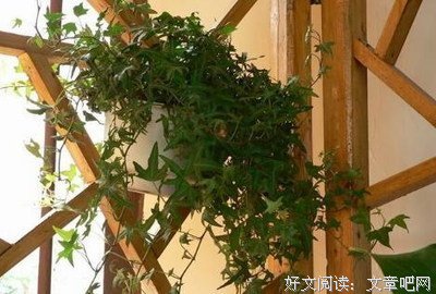 学佛人的楷模——省庵大师
