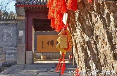 三世因果就是轮回