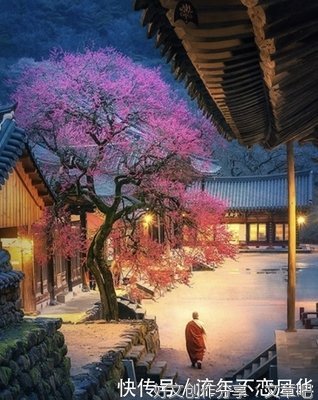 证初果（须陀洹果）有多难？