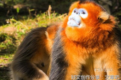 深信因果的人不占别人便宜