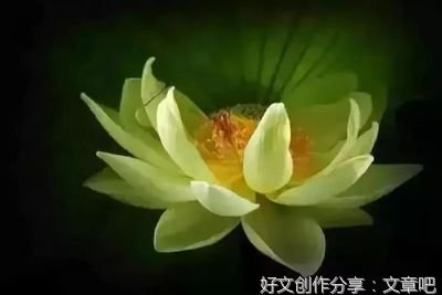 真我与假我——吾和身的关系