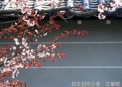 参禅不易得益，念佛成就最快