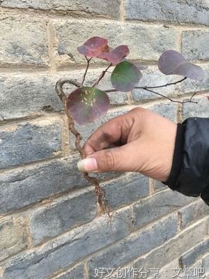 怎样能一念相应一念佛？