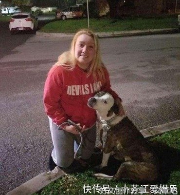 放生犬报恩救主