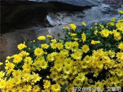 断灭见的谬误